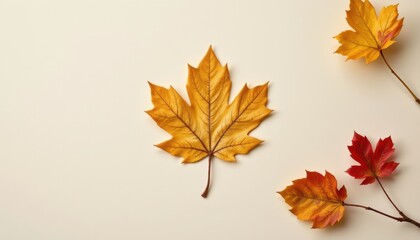 Fototapeta premium Overhead view of vibrant yellow and red maple leaves scattered across a pale cream surface