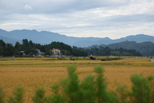 Ziro is a beautiful plateau, one of the oldest towns in Arunachal Pradesh, located at 1500m, known for paddy cultivation and inhabited by the Apatani tribe.
