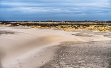 Desert Dunes at Sunset: Quiet Path Through Sand, Sparse Bushes, Dramatic Sky, Raabjerg Mile, Denmark
