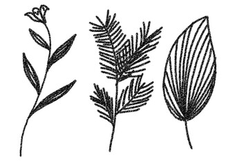 A set of vintage illustration of pine branches, lily flowers, and broad tropical leaves on a transparent PNG background.