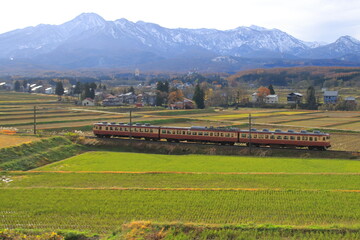 雄大な北アルプスを背景に疾走するえちごトキめき鉄道455・413系電車_2025/11/23撮影