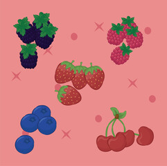 Illustration of berries, cherries, blueberries, raspberries, strawberries, blackberries, healthy fruit, healthy food