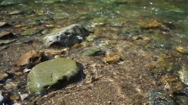 Riverbed Panorama Dynamic Riverbed Ecosystem Wide shot, showcasing the full breadth of the underwater riverbed with diverse stones and clear water.
