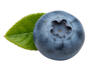 Single Blueberry with Leaf Close-Up &ndash; Macro Fresh Fruit 