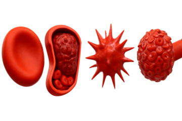 Red blood cells and spiky virus, in a medical illustration, cutout, PNG isolated on white or transparent background