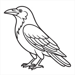 sketch of a crow coloring page
