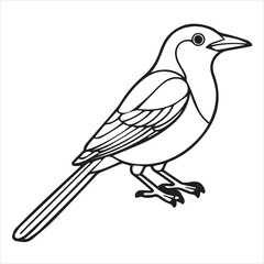 sketch of a bird