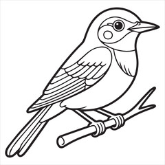 vector illustration of a magpie