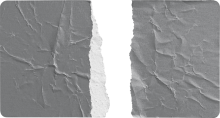 Torn Grey Paper Sticker Split into Two Halves isolated on transparent background