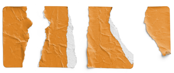 Orange Sticker Torn into Four Irregular Strips