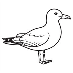 vector illustration of a seagull