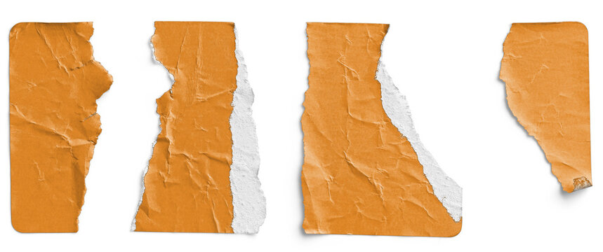 Orange Sticker Torn into Four Irregular Strips