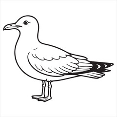 seagull coloring page