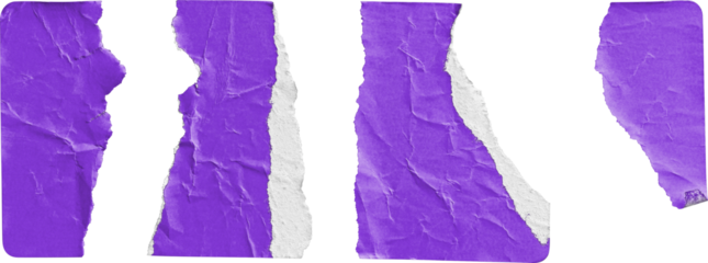 Purple Sticker Torn into Four Irregular Strips isolated on transparent background