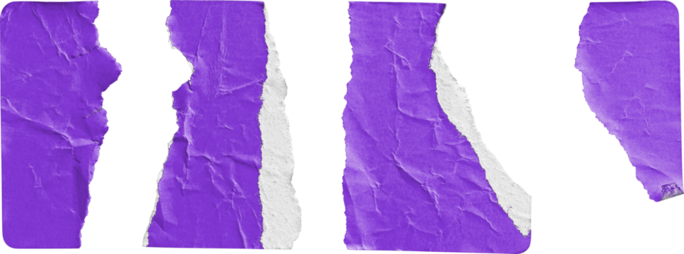 Purple Sticker Torn into Four Irregular Strips isolated on transparent background
