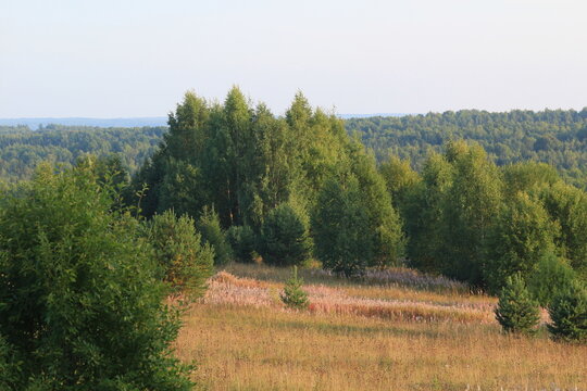 green fields and forests of northeastern Europe at the end of summer