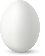 Realistic White Egg Vector Illustration Isolated on White Background