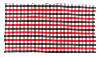 Piece of torn crumpled checkered fabric on a white background. Textile. Cellular tissue isolate