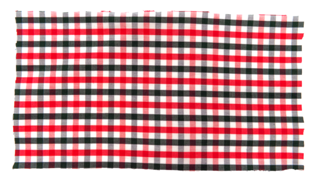 Piece of torn crumpled checkered fabric on a white background. Textile. Cellular tissue isolate