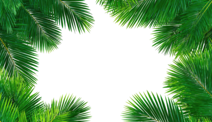 Lush green palm fronds frame a dark, empty space