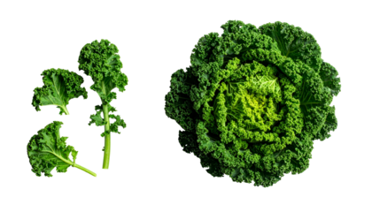 Overhead shot of fresh kale leaves and a tightly curled head isolated on black