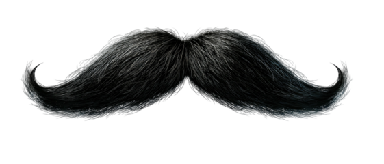 Dense black handlebar mustache with detailed texture and curl