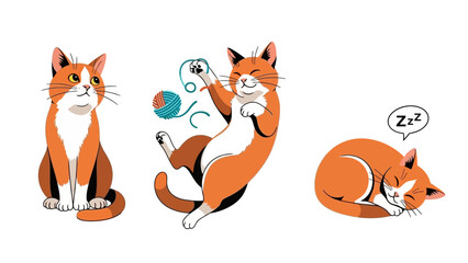 Obraz premium Three Orange and White Cats in Different Poses.