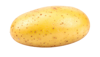 Close-up of a single, oblong, yellow-skinned root vegetable against a stark black background
