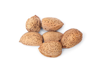 Group of six Raw almonds with thick shells food for pets, birds and rodents guinea pigs, hamsters, squirrels, or any grain-eating pet isolated on white background.