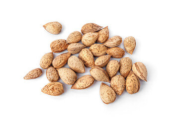 Pile of Raw almonds with fragrant shells food for pets, birds and rodents guinea pigs, hamsters, squirrels, or any grain-eating pet isolated on white background.