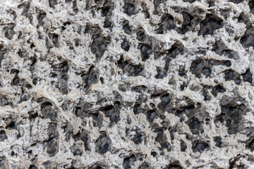 Mineral stone texture background with porous surface, rough light gray structure showing natural cavities and irregular formations in detailed macro view