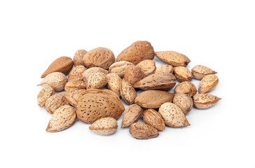 Pile of Raw almonds come in thick and thin shells food for pets, birds and rodents guinea pigs, hamsters, squirrels, or any grain-eating pet isolated on white background.