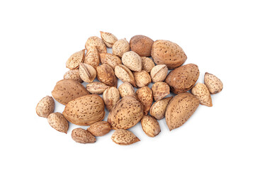 Pile of Raw almonds come in thick and thin shells food for pets, birds and rodents guinea pigs, hamsters, squirrels, or any grain-eating pet isolated on white background.