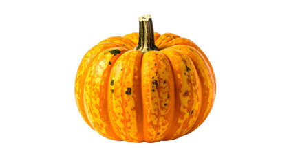 Close-up of a vibrant, small pumpkin with orange, yellow, and green tones on a black background