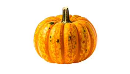 Close-up of a vibrant, small pumpkin with orange, yellow, and green tones on a black background