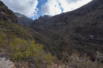 Volcanic canyon walls in Tenerife