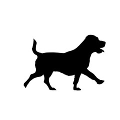 Black silhouette of a labrador retriever walking on a white background