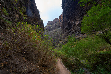 Trail through narrow volcanic gorge