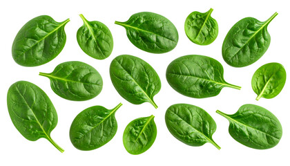 Fresh, vibrant spinach leaves scattered against a stark black background, showcasing texture