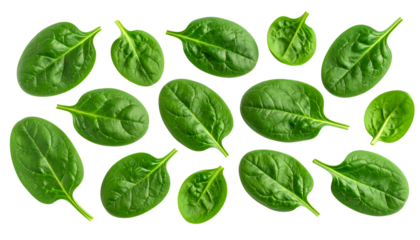 Fresh, vibrant spinach leaves scattered against a stark black background, showcasing texture