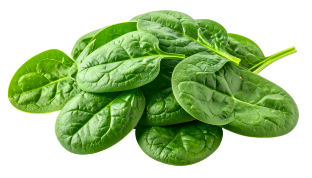 Close-up studio shot of a vibrant heap of fresh, organic spinach leaves against a dark backdrop
