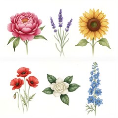 set of watercolor flowers