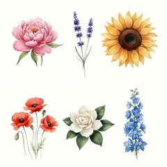 Set of 6 different flowers in two rows,hd quality watercolor ,rose sunflower Jasmin lilly 