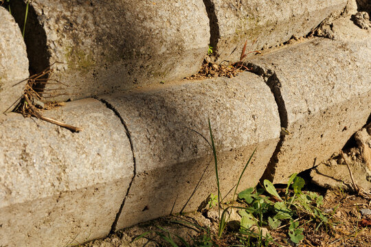 a lizard looking between stones and stone texture background on a sunny day