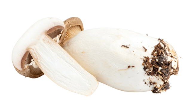 Close-up of a cut mushroom revealing the cap and stem with earthy details