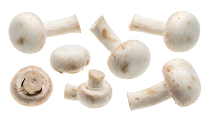 Close-up of various sized, fresh button mushrooms on a solid black background