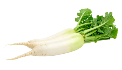 Two elongated white root vegetables with green leafy tops, isolated on a transparent background