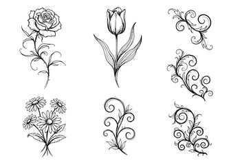 Six black and white sketches of flowers and floral scrolls on a white background © aprian