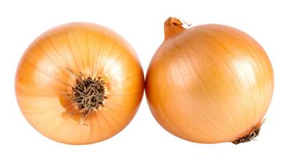 Two whole, round, yellow onions against a black background, close-up with detailed textures