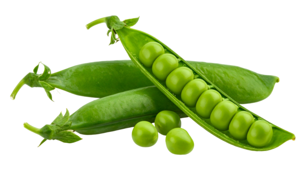 Close-up studio shot of fresh green peas in open pods, with isolated background
